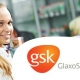 GLAXO SMITH KLINE Performance Media