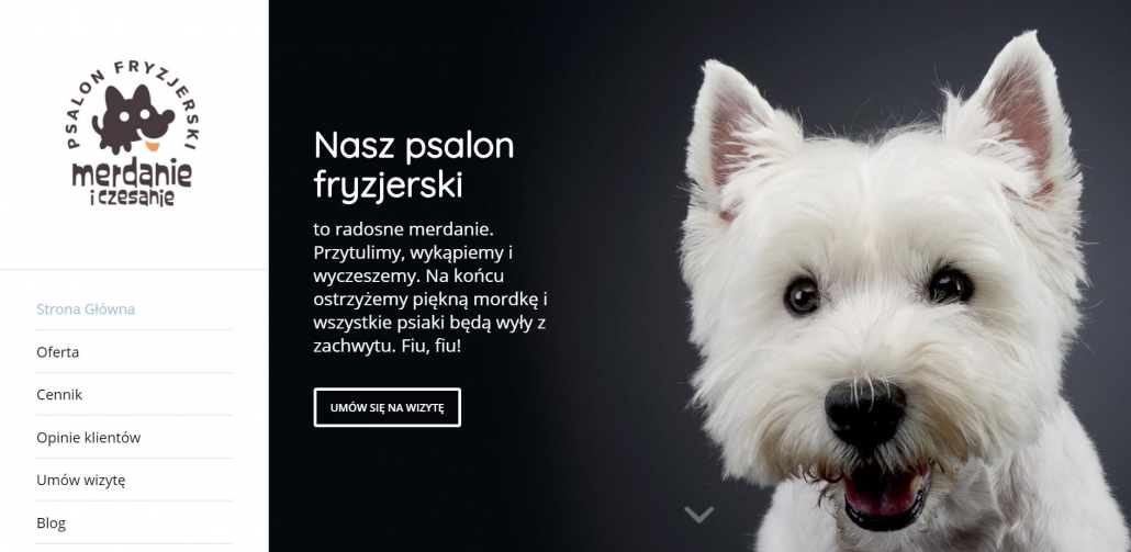 Źródło: Strona główna https://merdanieczesanie.pl/
