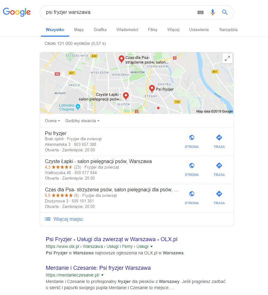 Źródło: Screen z wyników wyszukiwania na zapytanie „psi fryzjer warszawa”, 23.01.2019