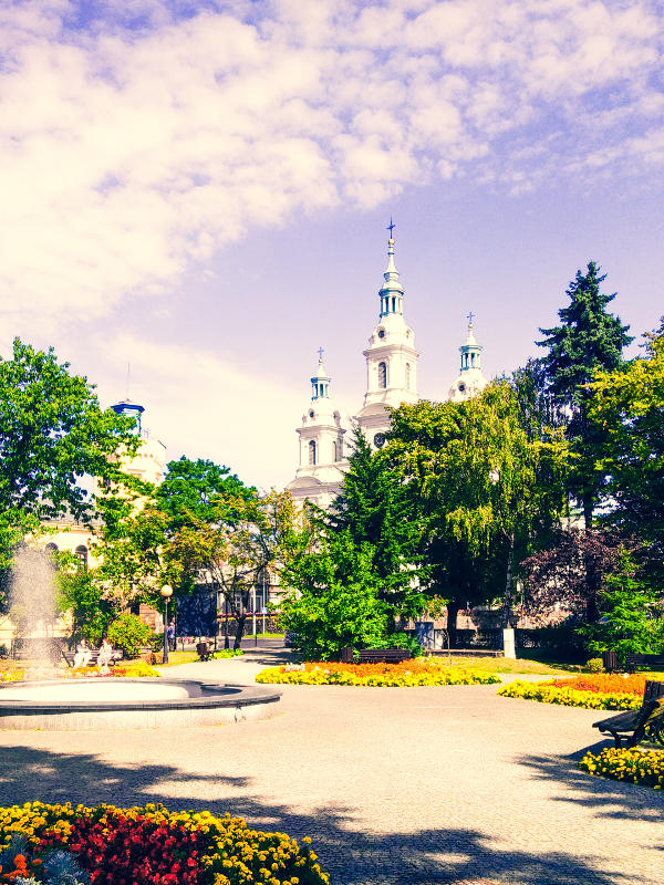 pozycjonowanie radomsko